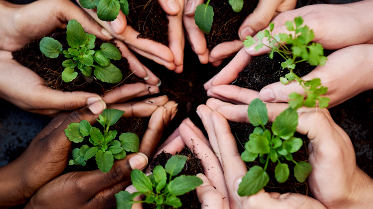 Cropped shot of a group of people holding plants growing out of soil