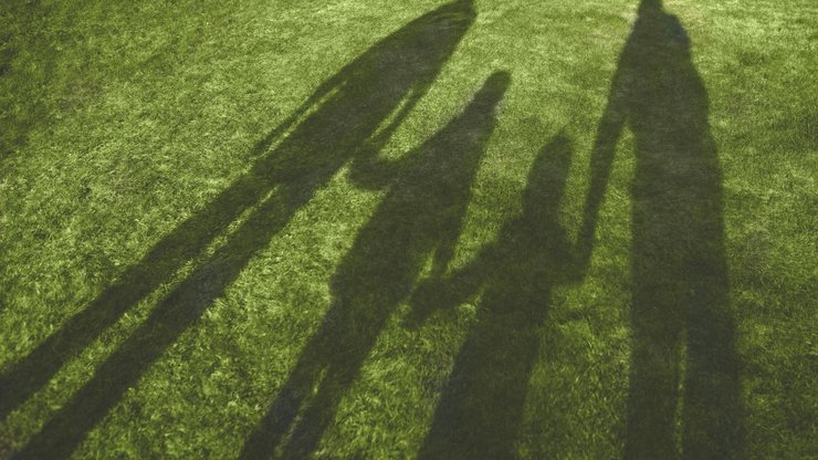 shadows of four family members on fresh green grass lane