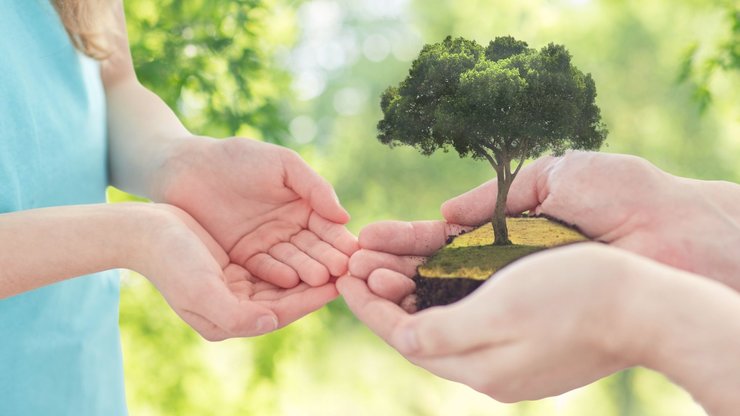 ecology, family and environment concept - close up of father's and girl's hands holding tree over green...