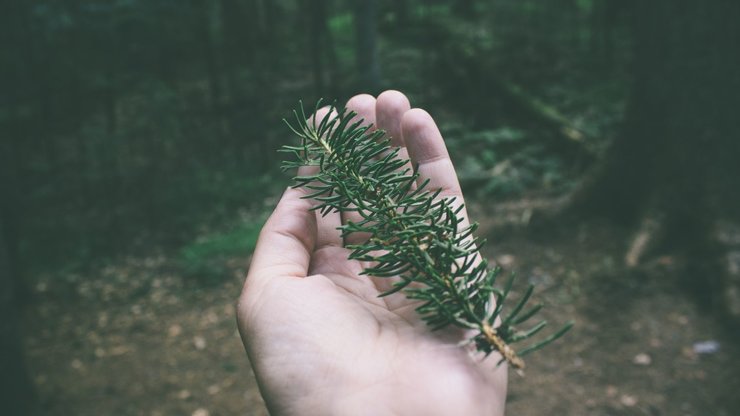 green hand