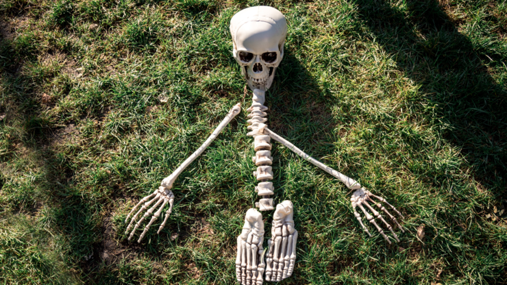 funny toy human skeleton lies on the grass