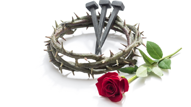 Jesus Christ crown of thorns, nails and a rose on a white background.