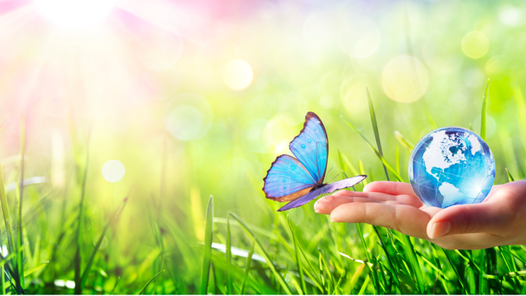 Butterfly With Glass Globe - Love And Care Environment Concept