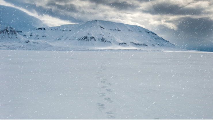 Landscape with a footprints in a snow, Arctic North Pole, Svalbard.
