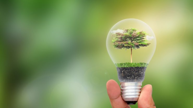 Green eco energy concept. Tree growing inside light bulb. nature background.