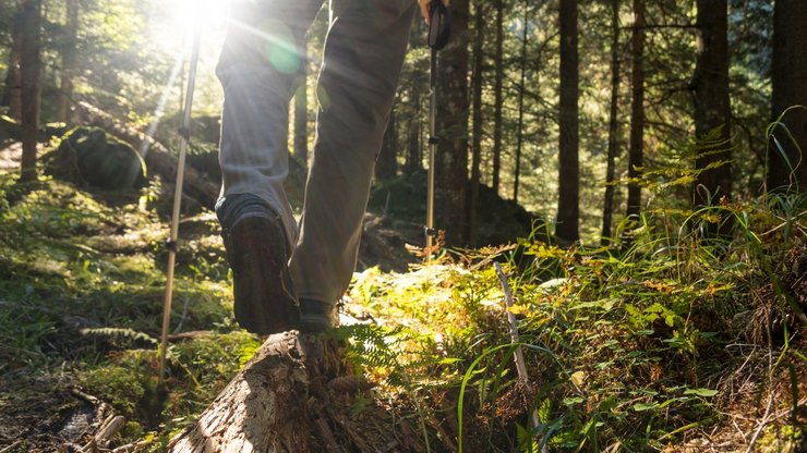 Hiking in the wood. Close up on man walking in the forest. Outdoor activity concept.