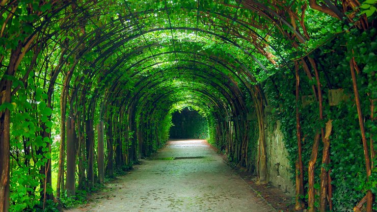 Green, Tunnel, Natural, Garden, Salzburg
