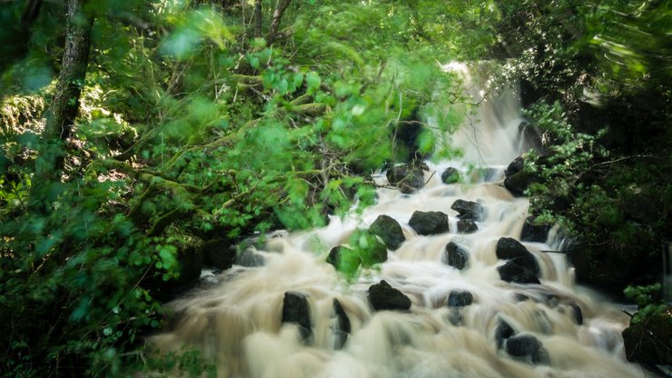 Time-lapse Photography of River Between Trees