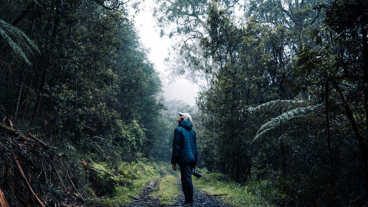 Man in Blue Jacket Walking on Dirt Pathway Between Green Trees