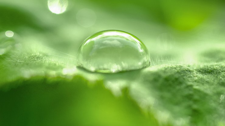 Selective Focus Photo of Tear Drop