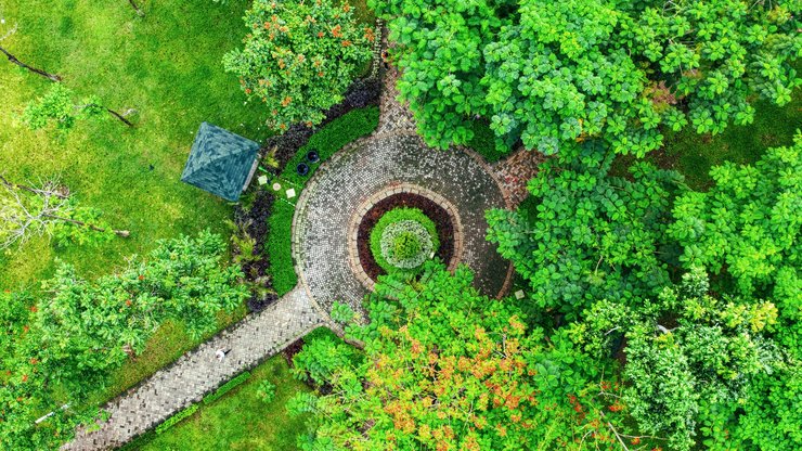 Aerial View of a Park with Green Trees