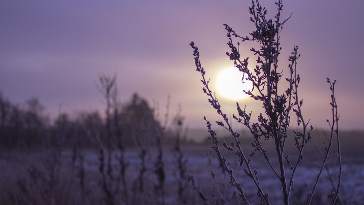 Sunrise, Mark, Purple, Winter, Morning, Landscape